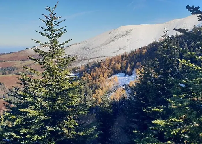 Le Nid Du * Castillon-de-Larboust